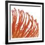 Orange Protea 5 (detail)-Jenny Kraft-Framed Art Print