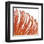 Orange Protea V (detail)-Jenny Kraft-Framed Giclee Print