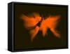 Orange Radiant World Map-NaxArt-Framed Stretched Canvas