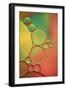 Orange, Red And Green Drops-Cora Niele-Framed Premium Giclee Print