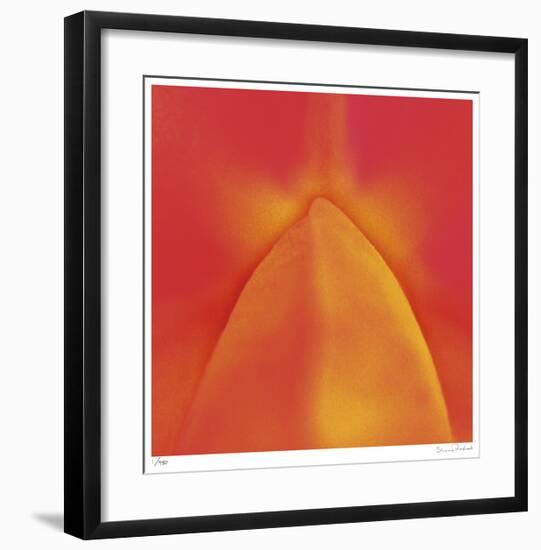 Orange Red Orchid Abstract-Shams Rasheed-Framed Giclee Print