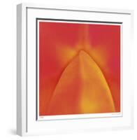 Orange Red Orchid Abstract-Shams Rasheed-Framed Giclee Print