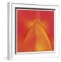 Orange Red Orchid Abstract-Shams Rasheed-Framed Giclee Print