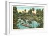 Orange River, Ft. Myers, Florida-null-Framed Art Print