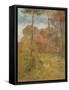 Orange Road, Tarpon Springs, C.1893-George Snr. Inness-Framed Stretched Canvas