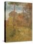 Orange Road, Tarpon Springs, C.1893-George Snr. Inness-Stretched Canvas