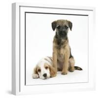 Orange Roan Cocker Spaniel Bitch Puppy, Blossom, with Border Terrier Bitch Puppy, Kes-Mark Taylor-Framed Photographic Print