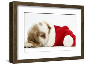 Orange Roan Cocker Spaniel Puppy, Blossom, Resting in Father Christmas Hat-Mark Taylor-Framed Photographic Print