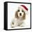 Orange Roan Cocker Spaniel Puppy, Blossom, Wearing Father Christmas Hat-Mark Taylor-Framed Stretched Canvas