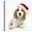 Orange Roan Cocker Spaniel Puppy, Blossom, Wearing Father Christmas Hat-Mark Taylor-Stretched Canvas