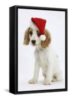 Orange Roan Cocker Spaniel Puppy, Blossom, Wearing Father Christmas Hat-Mark Taylor-Framed Stretched Canvas