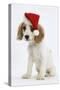 Orange Roan Cocker Spaniel Puppy, Blossom, Wearing Father Christmas Hat-Mark Taylor-Stretched Canvas
