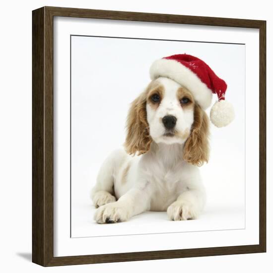 Orange Roan Cocker Spaniel Puppy, Blossom, Wearing Father Christmas Hat-Mark Taylor-Framed Photographic Print
