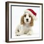 Orange Roan Cocker Spaniel Puppy, Blossom, Wearing Father Christmas Hat-Mark Taylor-Framed Photographic Print