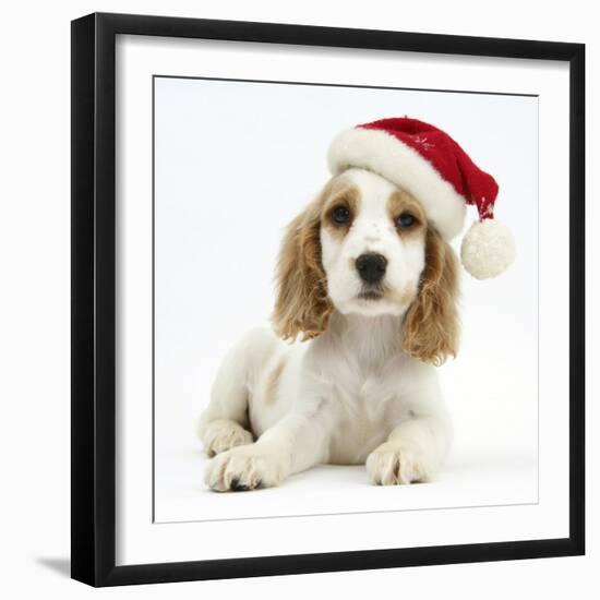 Orange Roan Cocker Spaniel Puppy, Blossom, Wearing Father Christmas Hat-Mark Taylor-Framed Photographic Print