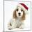 Orange Roan Cocker Spaniel Puppy, Blossom, Wearing Father Christmas Hat-Mark Taylor-Mounted Photographic Print