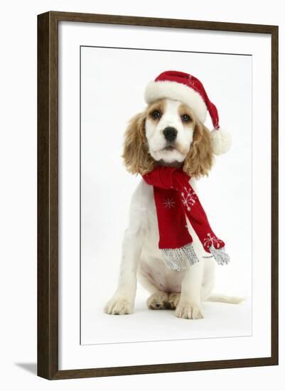 Orange Roan Cocker Spaniel Puppy, Blossom, Wearing Scarf and Father Christmas Hat-Mark Taylor-Framed Photographic Print