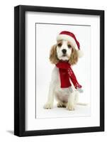 Orange Roan Cocker Spaniel Puppy, Blossom, Wearing Scarf and Father Christmas Hat-Mark Taylor-Framed Photographic Print