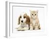 Orange Roan Cocker Spaniel Puppy, Blossom, with Ginger Kitten-Mark Taylor-Framed Photographic Print