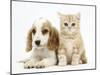 Orange Roan Cocker Spaniel Puppy, Blossom, with Ginger Kitten-Mark Taylor-Mounted Photographic Print