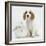 Orange Roan Cocker Spaniel Puppy, Blossom, with White Rabbit-Mark Taylor-Framed Photographic Print