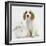 Orange Roan Cocker Spaniel Puppy, Blossom, with White Rabbit-Mark Taylor-Framed Photographic Print