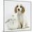 Orange Roan Cocker Spaniel Puppy, Blossom, with White Rabbit-Mark Taylor-Mounted Photographic Print