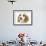 Orange Roan Cocker Spaniel Puppy, Blossom-Mark Taylor-Framed Photographic Print displayed on a wall