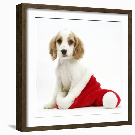 Orange Roan Cocker Spaniel Puppy, in Christmas Hat-Mark Taylor-Framed Photographic Print