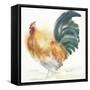 Orange Rooster-Marietta Cohen Art and Design-Framed Stretched Canvas