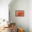 Orange Rose Close-Up-Matt Freedman-Framed Stretched Canvas displayed on a wall