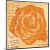 Orange Rose-Anna Flores-Mounted Art Print