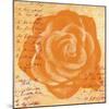 Orange Rose-Anna Flores-Mounted Art Print