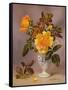 Orange Roses in a Blue and White Jug-Albert Williams-Framed Stretched Canvas