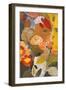 Orange Roses-Kim Parker-Framed Giclee Print