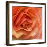 Orange Ruffles III-Rita Crane-Framed Photographic Print