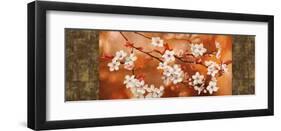 Orange Sakura-Jenny Thomlinson-Framed Giclee Print