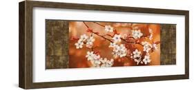 Orange Sakura-Jenny Thomlinson-Framed Giclee Print