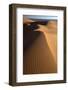 Orange Sand Dunes and Sand Ripples, Erg Chebbi Sand Sea, Sahara Desert Near Merzouga-Lee Frost-Framed Photographic Print