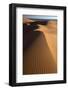 Orange Sand Dunes and Sand Ripples, Erg Chebbi Sand Sea, Sahara Desert Near Merzouga-Lee Frost-Framed Photographic Print