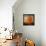 Orange Season-Philippe Sainte-Laudy-Framed Stretched Canvas displayed on a wall