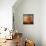 Orange Season-Philippe Sainte-Laudy-Stretched Canvas displayed on a wall