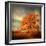 Orange Season-Philippe Sainte-Laudy-Framed Premium Photographic Print