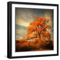 Orange Season-Philippe Sainte-Laudy-Framed Premium Photographic Print