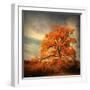 Orange Season-Philippe Sainte-Laudy-Framed Premium Photographic Print