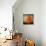 Orange Season-Philippe Sainte-Laudy-Photographic Print displayed on a wall