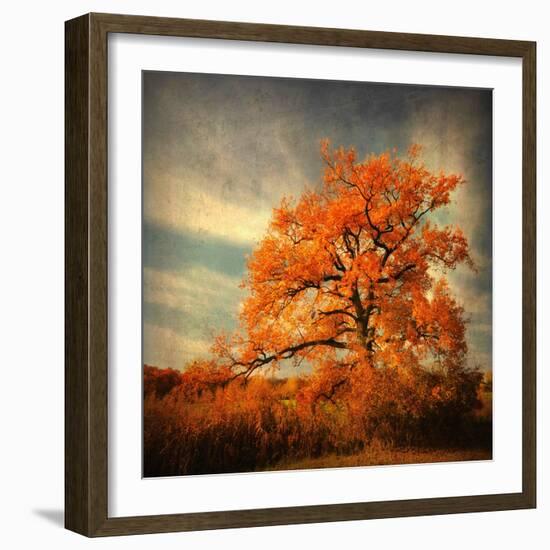 Orange Season-Philippe Sainte-Laudy-Framed Photographic Print