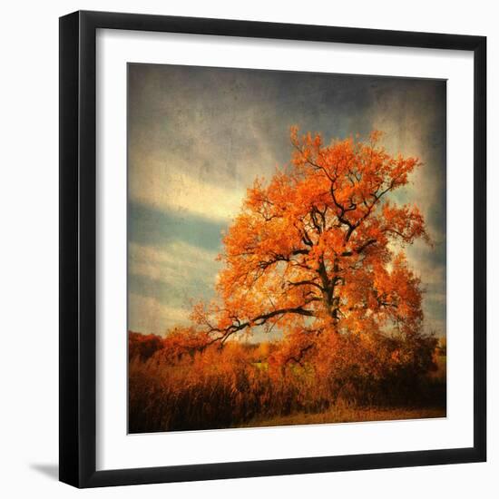 Orange Season-Philippe Sainte-Laudy-Framed Photographic Print