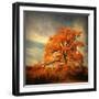 Orange Season-Philippe Sainte-Laudy-Framed Photographic Print