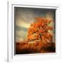 Orange Season-Philippe Sainte-Laudy-Framed Photographic Print